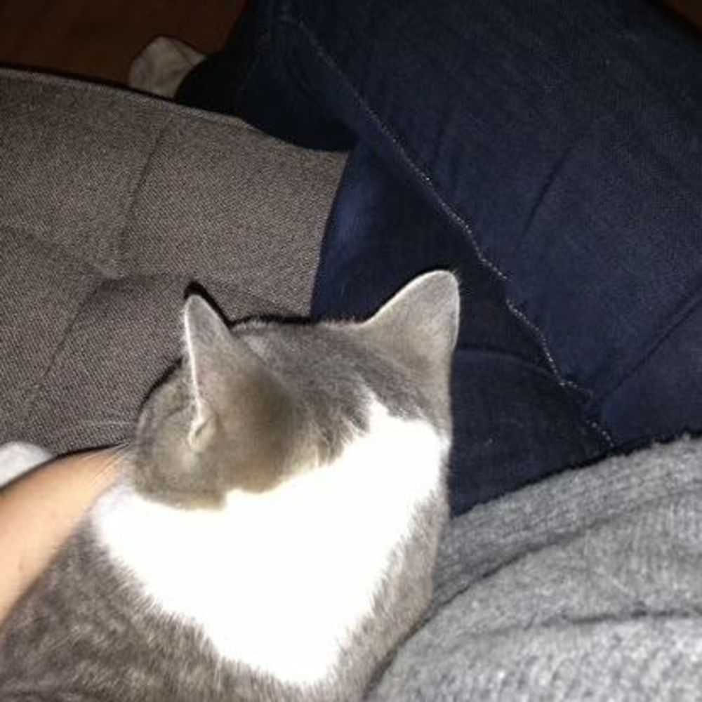 Meet your Posher, Liana